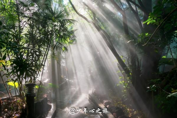 逗小猴开心系列171