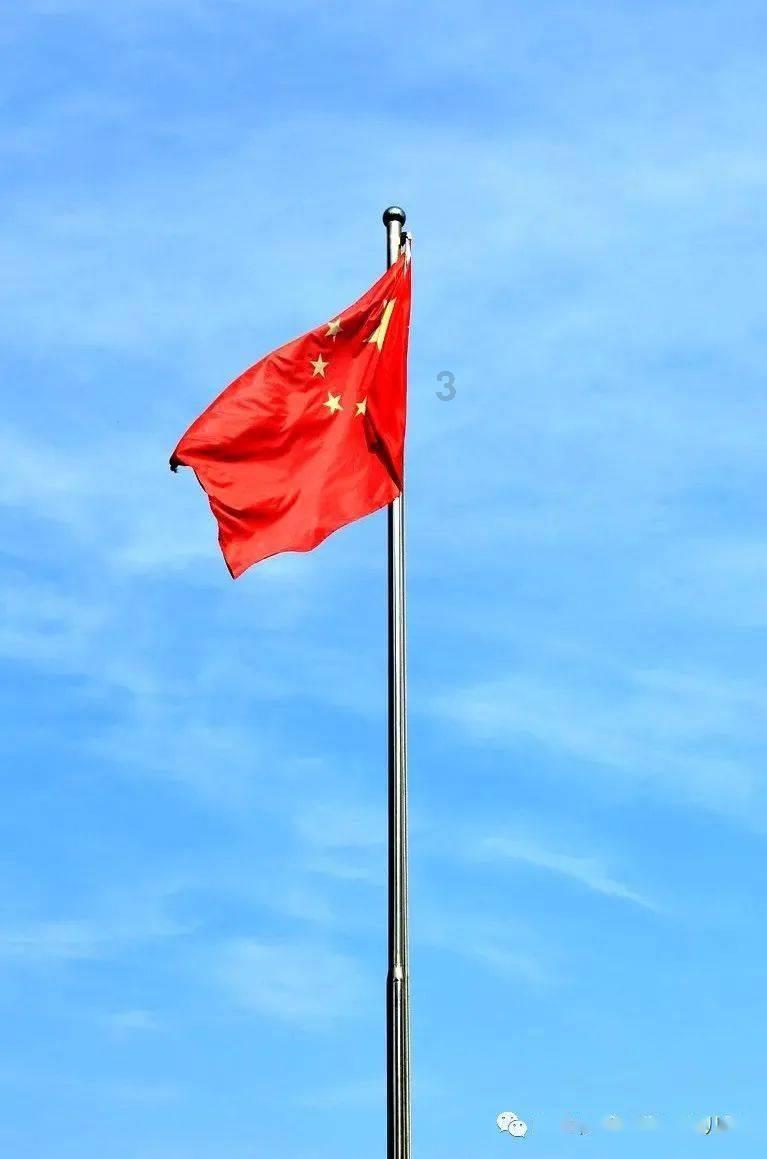 可爱兔子营救